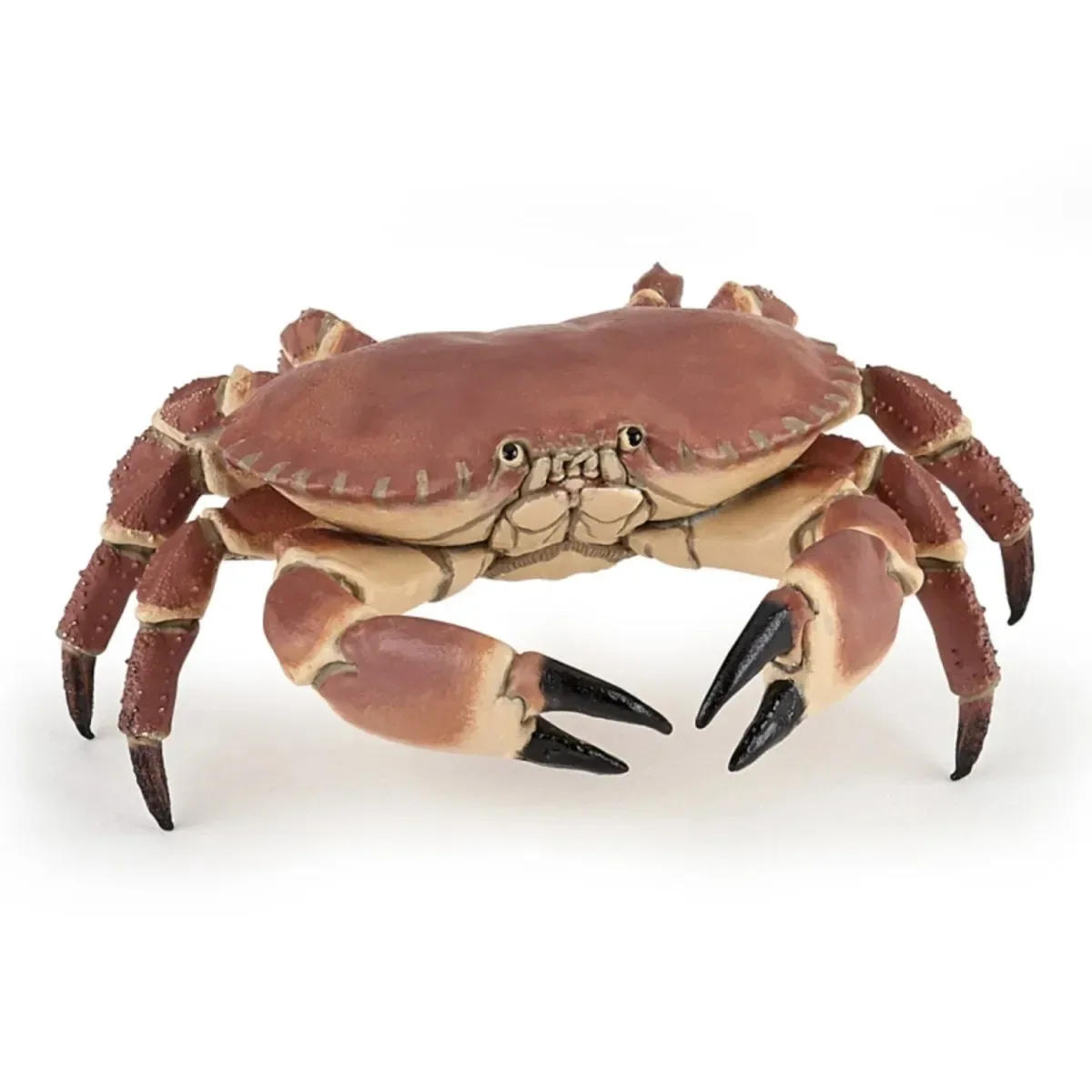 Papo 56047 Spielfigur Krabbe 2,5cm fra Papo – produktbillede