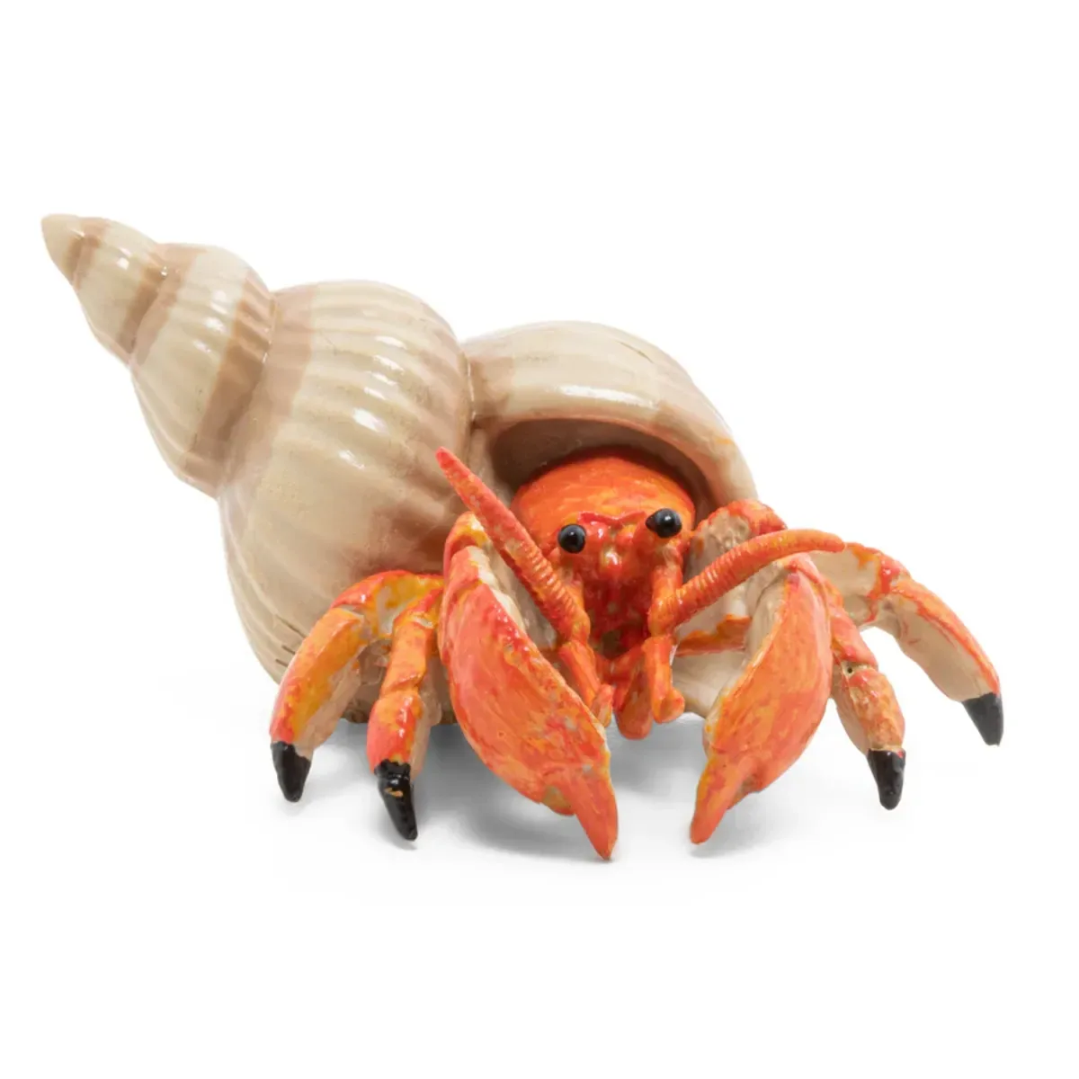 Papo 56054 Meeresuniversum Einsiedlerkrebs-Figur 6,1 x 4,4 x 2,8 cm handbemalt fra Papo i Flerfarvet – produktbillede