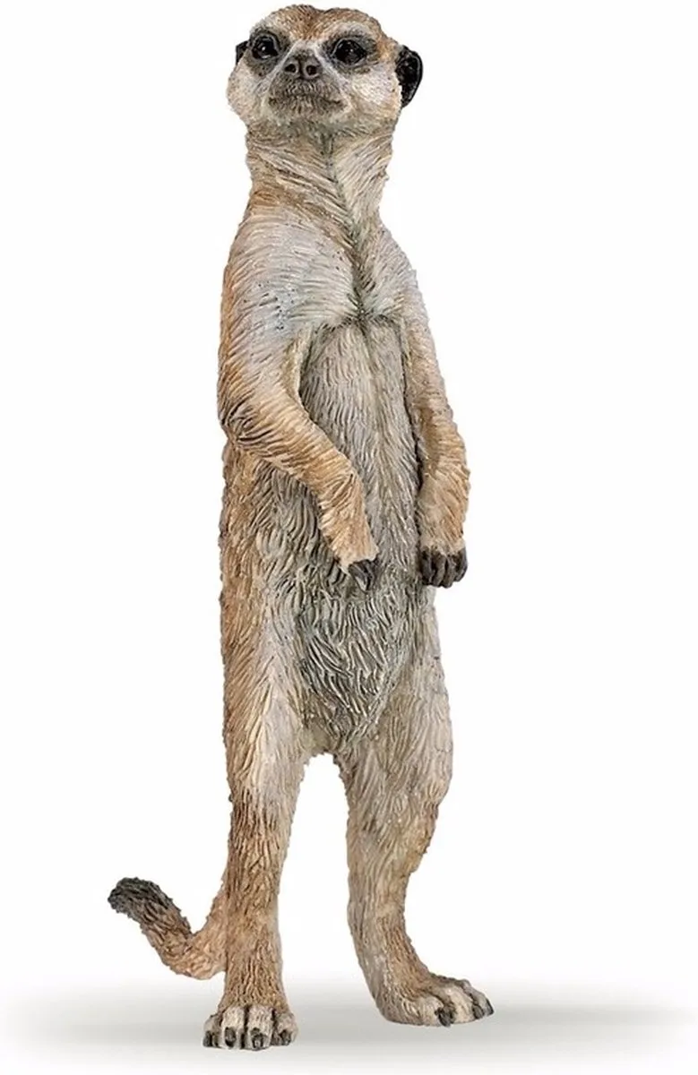 Set van 2 stuks plastic speelgoed figuur dieren stokstaartjes van 7 cm van Papo in Meerkleurig – productfoto