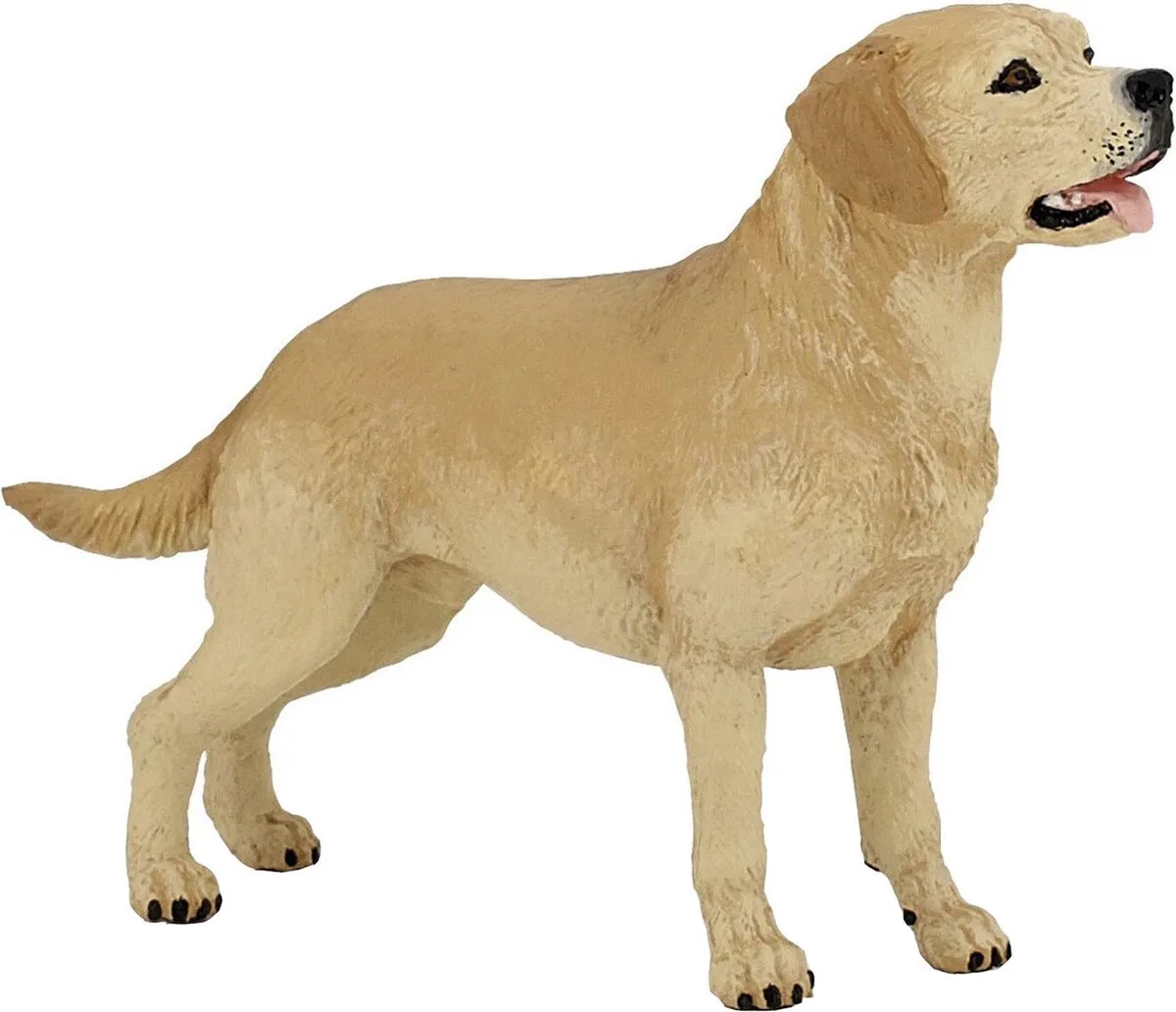 Speelfiguur - Huisdier - Hond - Labrador - Blond fra Papo i Flerfarvet – produktbillede