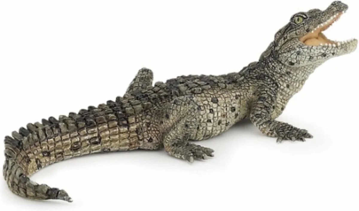 Speelfiguur - Reptiel - Krokodil - Jong - Groen by Papo in Baby Krokodil – product photo