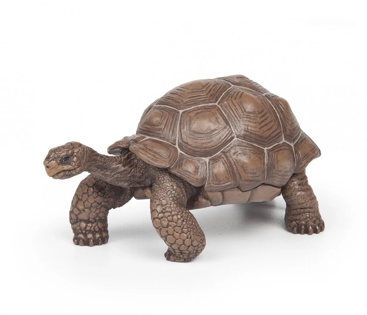 Speelfiguur - Schildpad - Galapagos eilanden de Papo en Multicolore – photo du produit