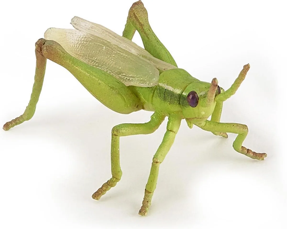 Speelfiguur - Sprinkhaan - 6x4x3cm van Papo in Groen, Geel – productfoto