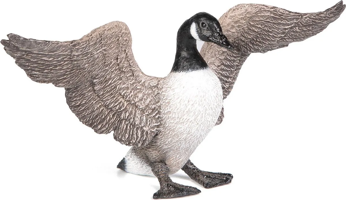 Speelfiguur - Vogel - Canadese gans de Papo en Multicolore – photo du produit