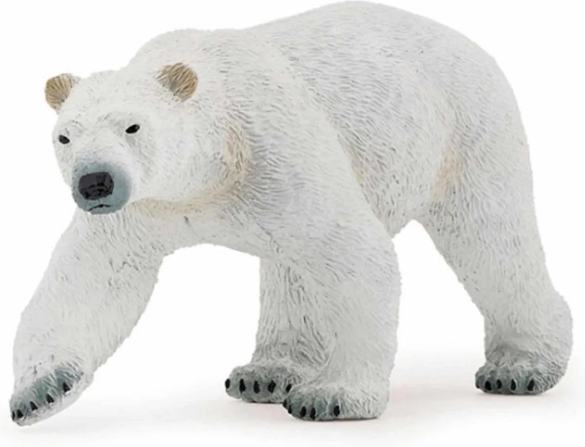 Speelfiguur - Wild dier - IJsbeer von Papo in Mehrfarbig – Produktfoto