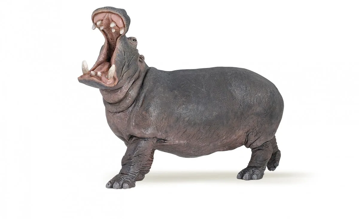 Speelfiguur - Wild dier - Nijlpaard van Papo in Meerkleurig – productfoto