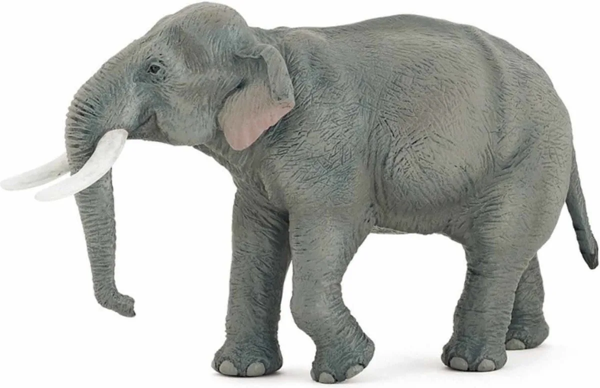 Speelfiguur - Wild dier - Olifant - Aziatische olifant van Papo in Meerkleurig – productfoto