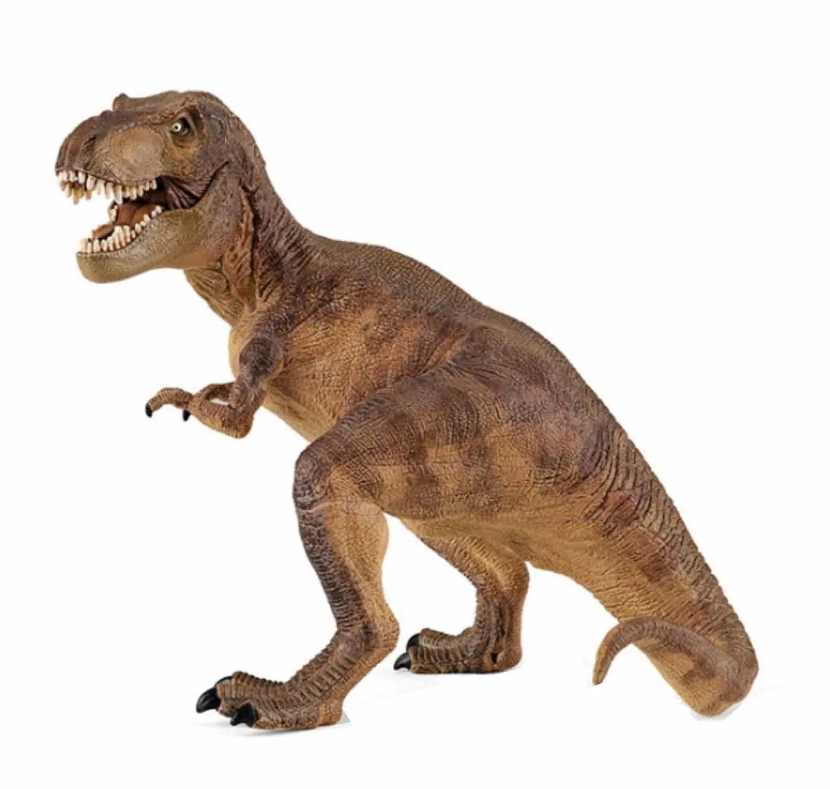 Tyrannosaurus Rex - Dinosaurus de Papo en Marron – photo du produit