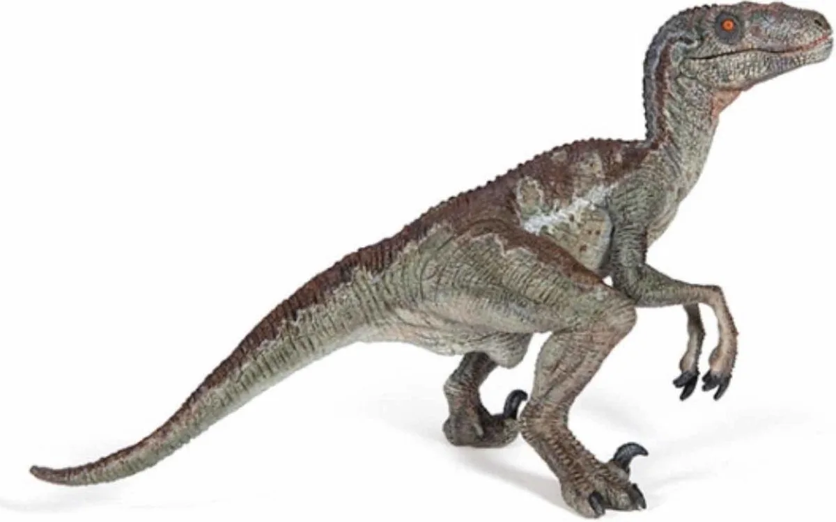 Velociraptor - Dinosaurus de Papo en Multicolore – photo du produit