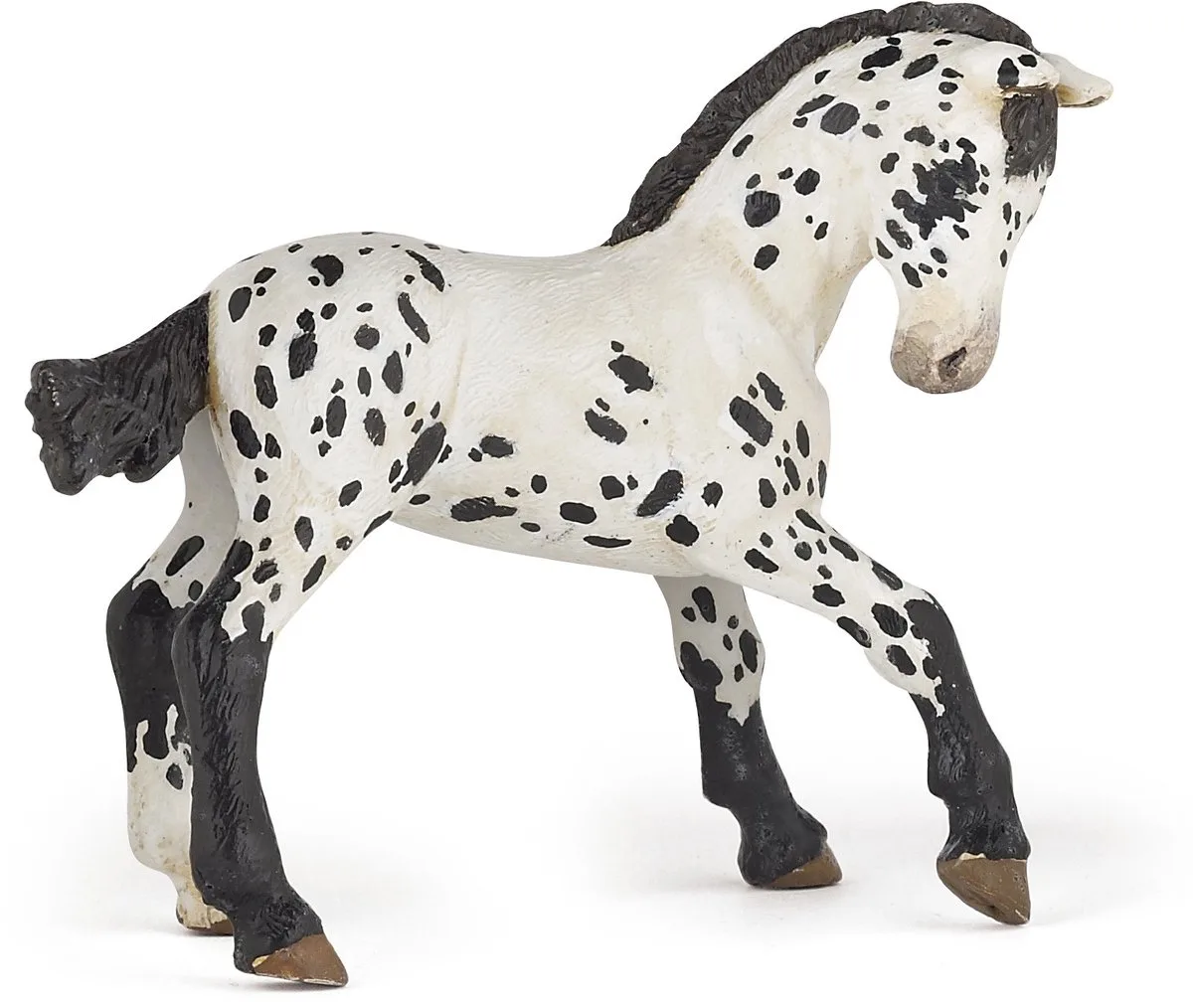 Veulen - Apaloosa - Zwart gevlekt by Papo in Multicolour – product photo