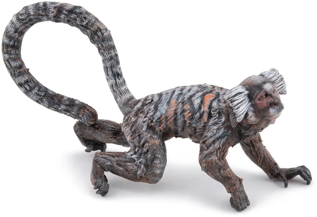 Wild Life Marmoset 50313 van Papo in Meerkleurig – productfoto