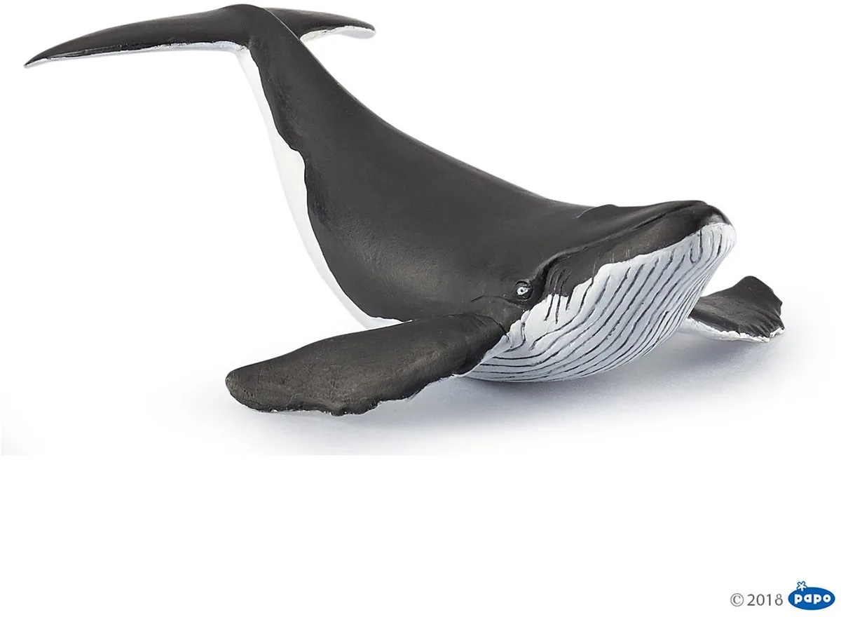 Wild Life Walvis Kalf 56035 by Papo in Brown – product photo