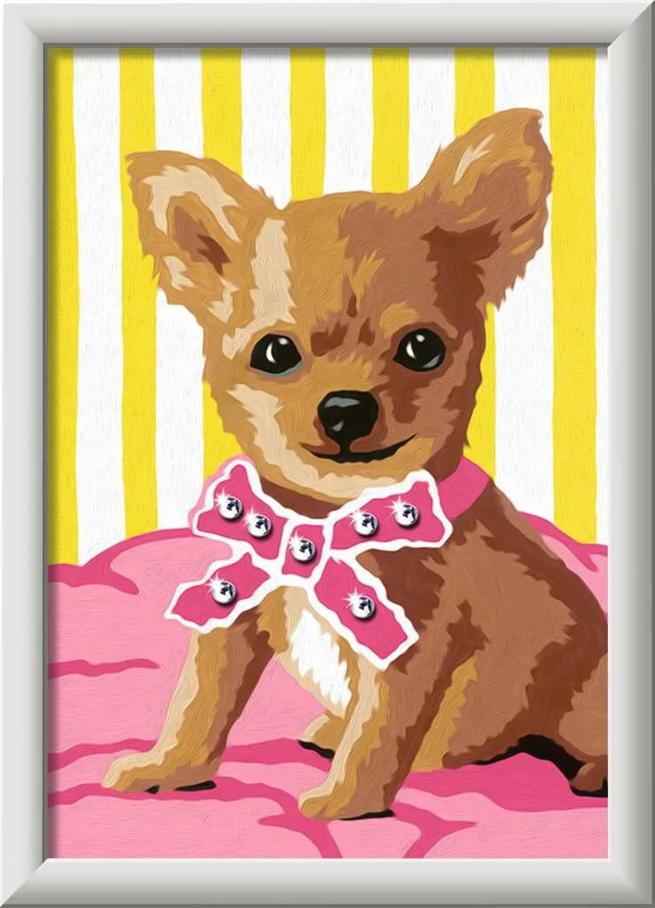 Little Chihuahua met glittering van Ravensburger – productfoto