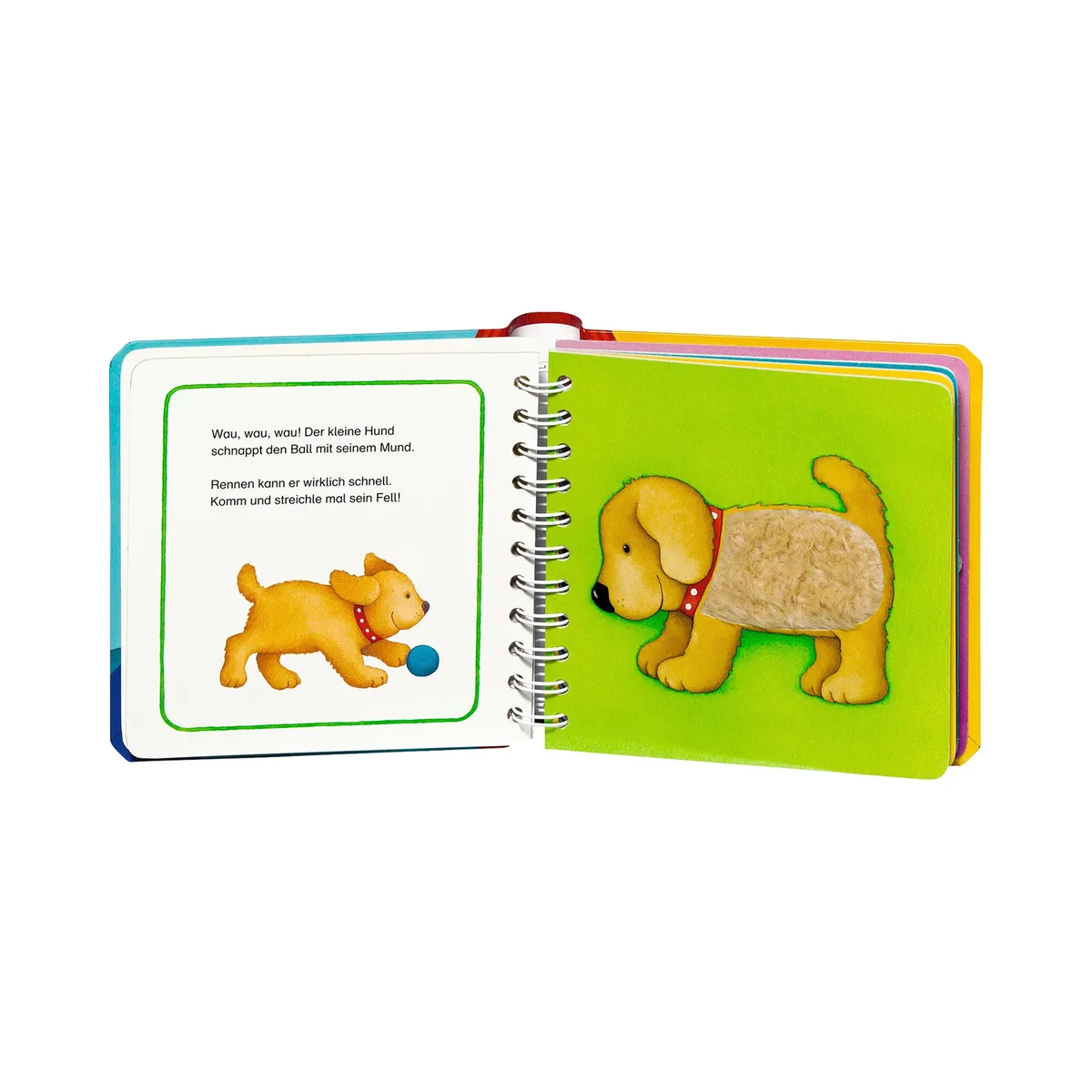 Pappbilderbücher Fühlbuch Mein erstes Fühlbuch von Ravensburger in Mehrfarbig, 170 × 161 mm – Produktfoto