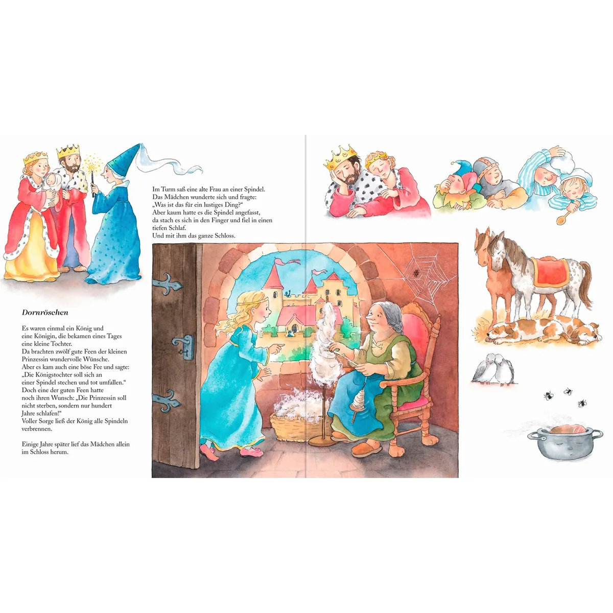 Pappbilderbücher Sachbuch Meine ersten Märchen von Ravensburger in Mehrfarbig, 240 × 215 mm – Produktfoto