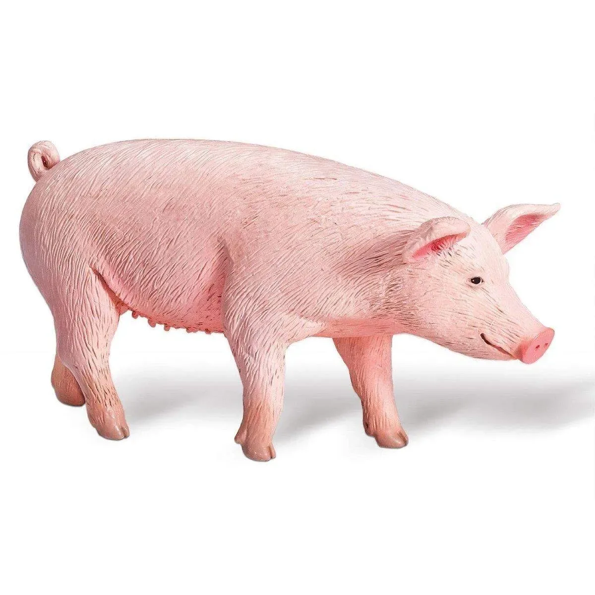 RAVENSBURGER 000350 tiptoi® Schwein från Ravensburger – produktbild