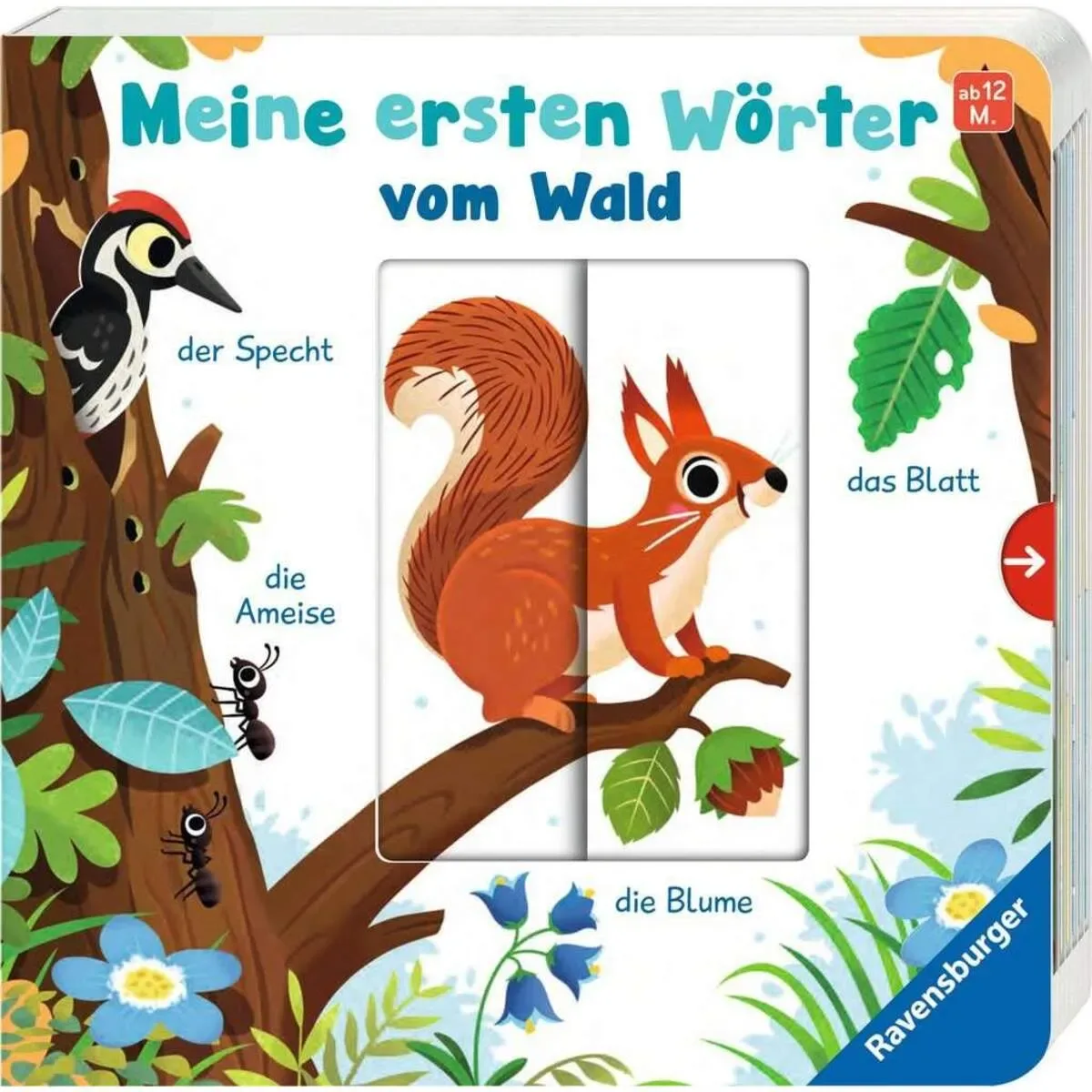 RAVENSBURGER 41771 Meine ersten Wörter: Wald von Ravensburger – Produktfoto