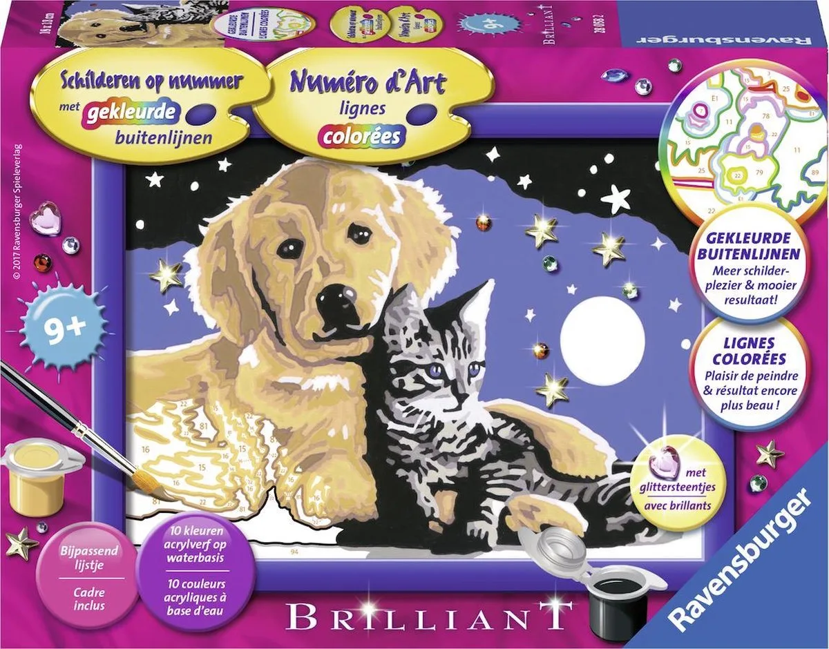Schitterende sterrenhemel van Ravensburger in Meerkleurig – productfoto