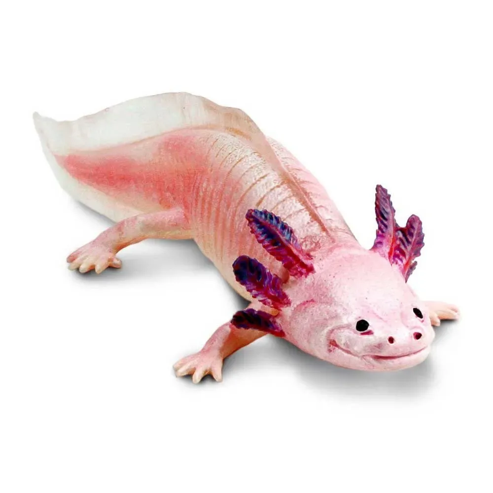 Axolotl Figur von Safari Ltd – Produktfoto