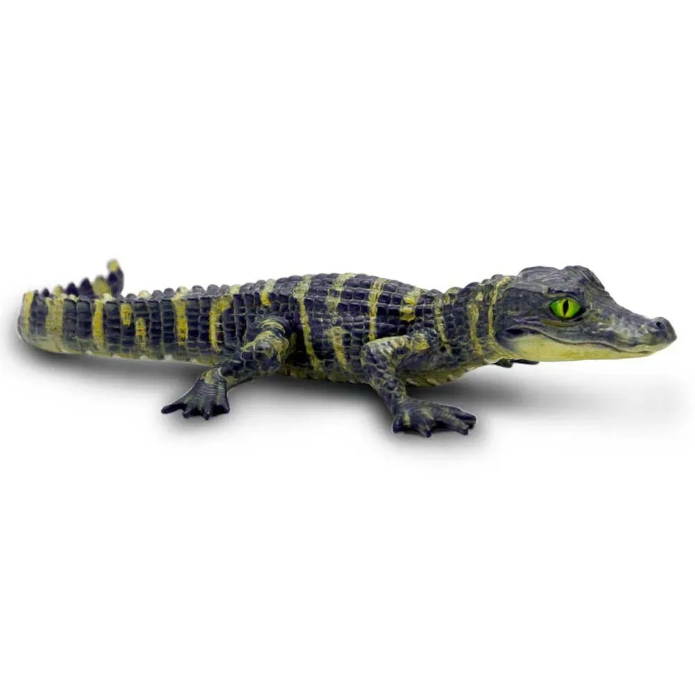 Baby Alligator Figuur von Safari Ltd – Produktfoto