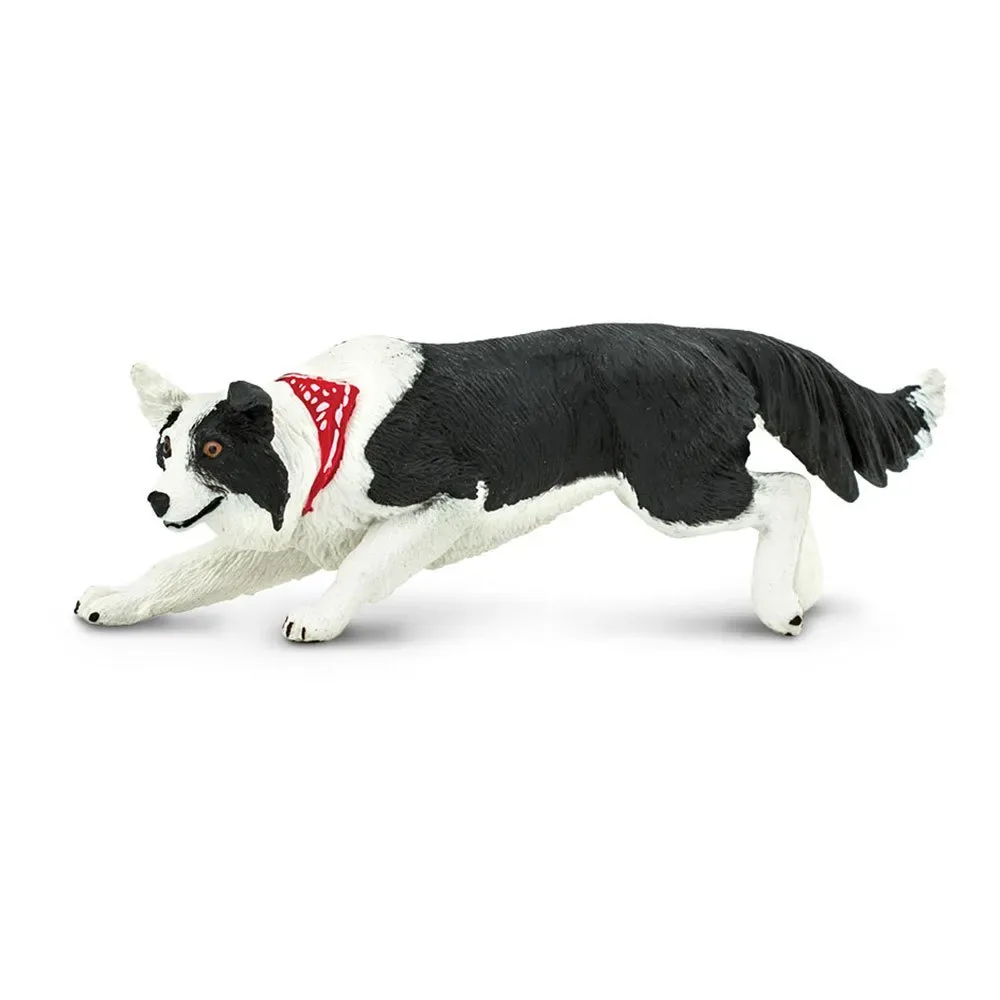 Figurine Border Collie de Safari Ltd – photo du produit