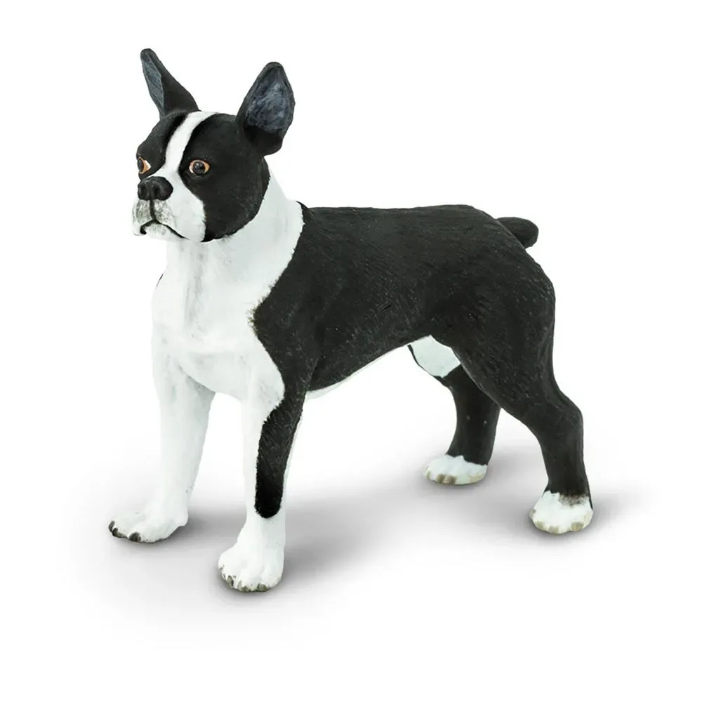 Boston Terrier Figur von Safari Ltd – Produktfoto