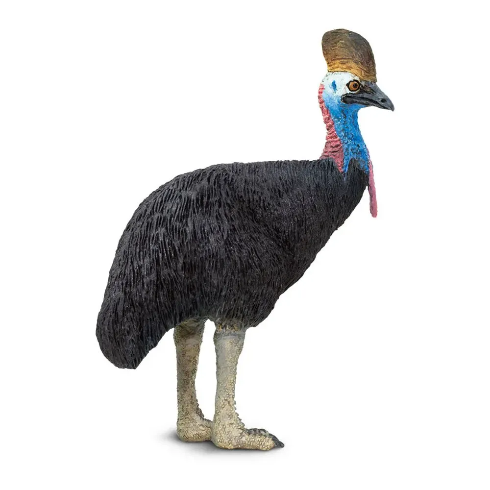 Casuarisfiguur van Safari Ltd – productfoto