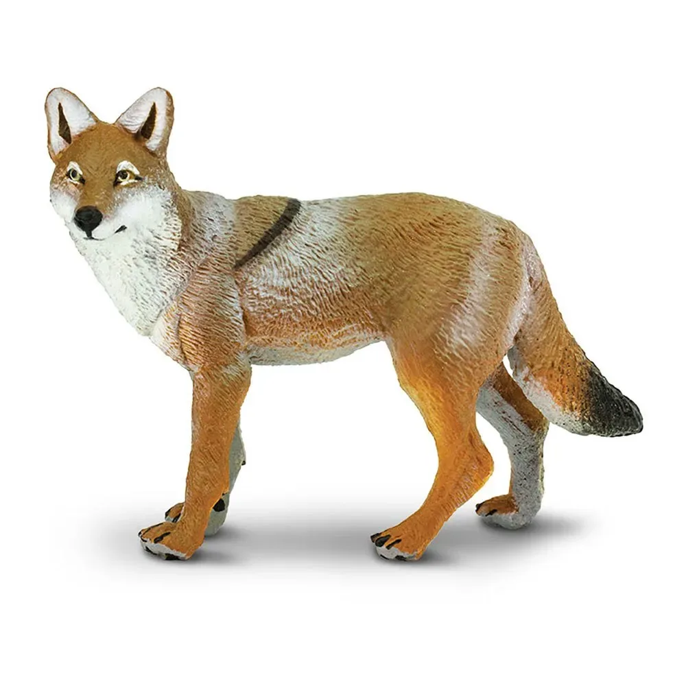 Figure 2 Coyote de Safari Ltd – photo du produit