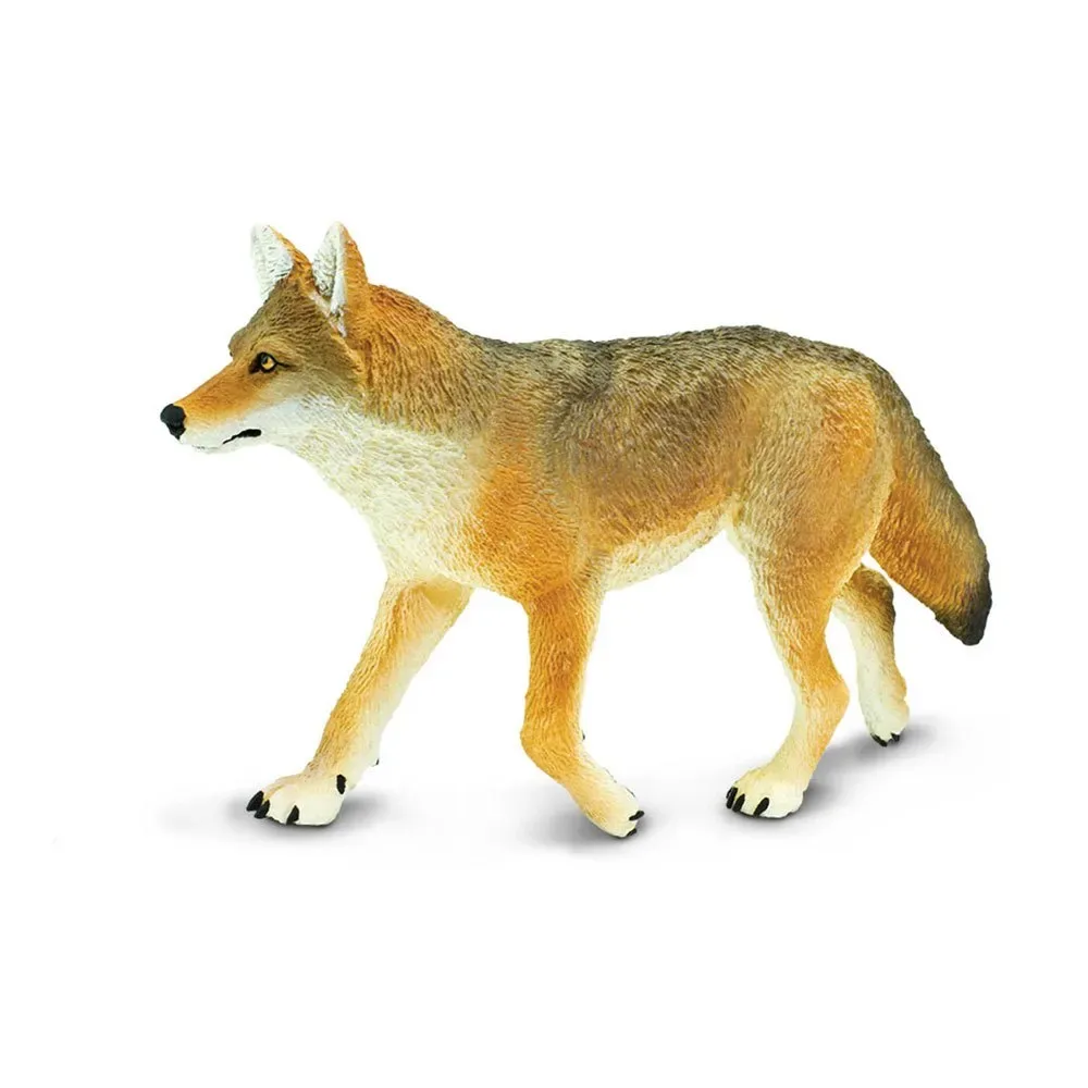 Figure Coyote de Safari Ltd – photo du produit