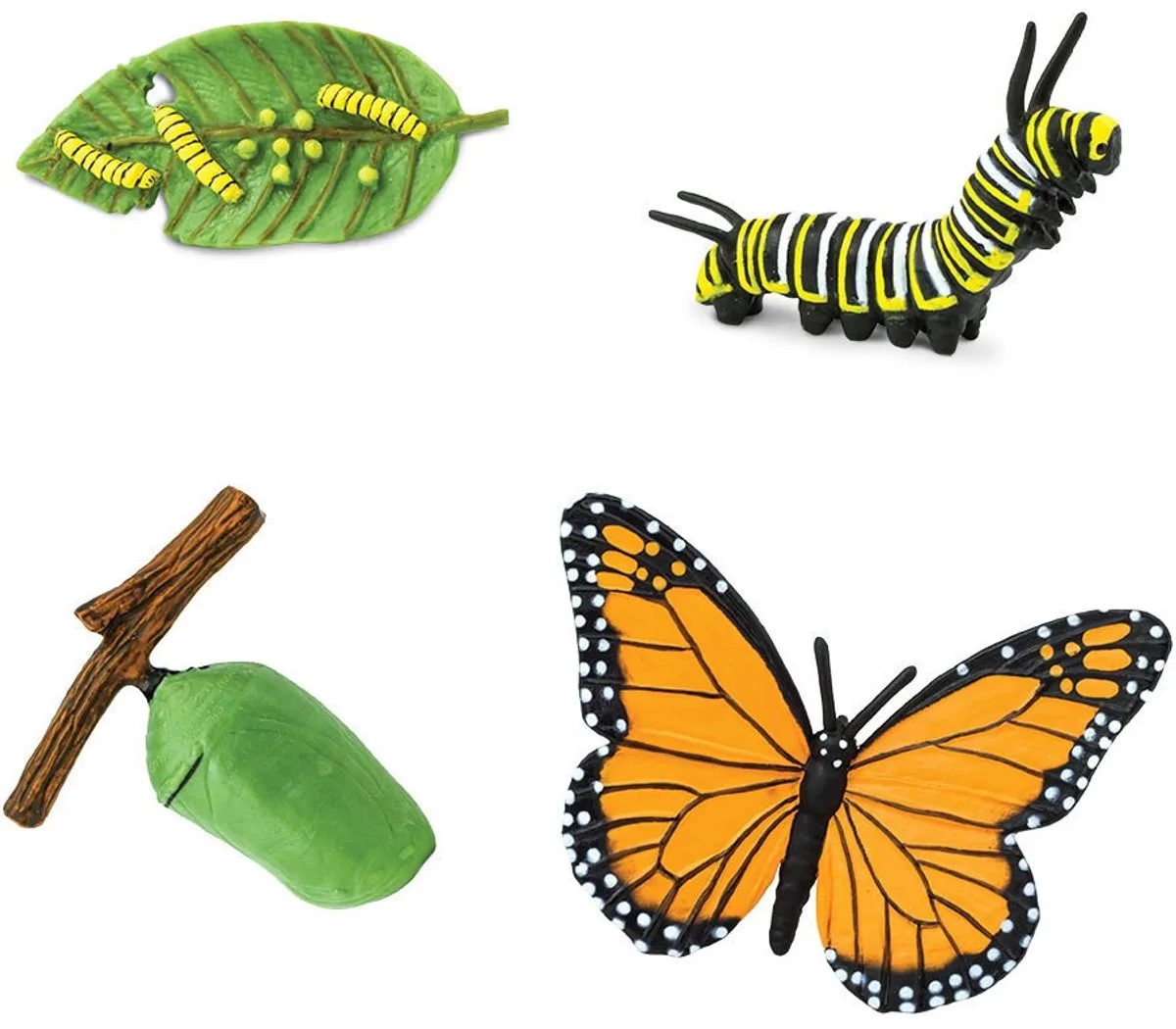 De levenscyclus van een vlinder - Educatief speelgoed - van cocon, naar rups en vlinder de Safari Ltd en Groen Oranje – photo du produit