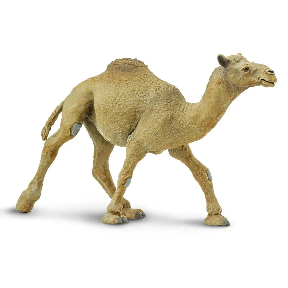 Figurine De Dromadaire de Safari Ltd – photo du produit