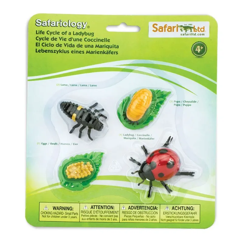 Figur Zum Lebenszyklus Eines Marienkäfers von Safari Ltd – Produktfoto