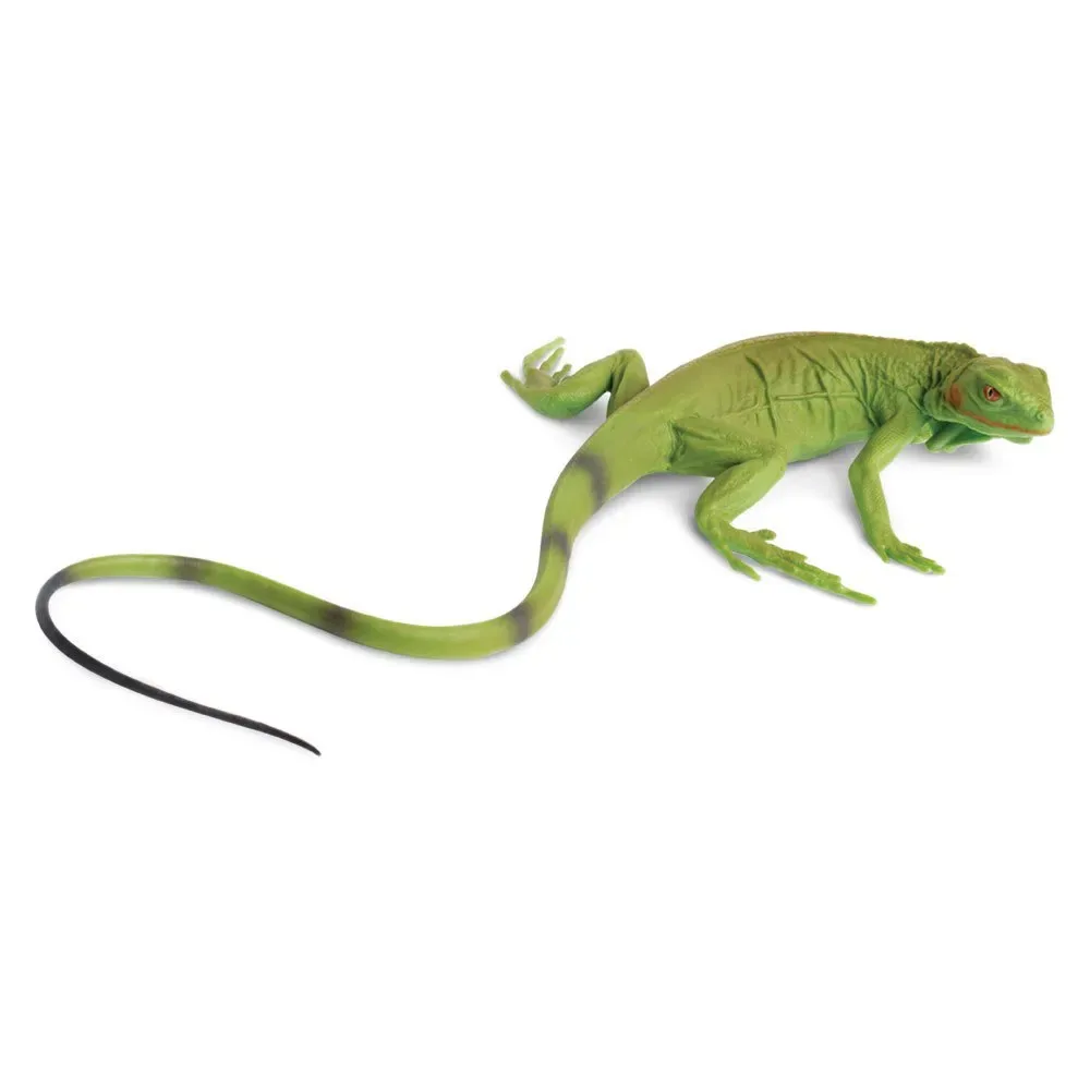 Figurine Bébé Iguane de Safari Ltd – photo du produit