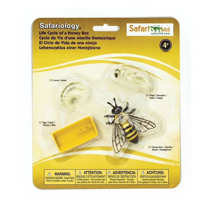 Levenscyclus Van Een Honingbij by Safari Ltd – product photo
