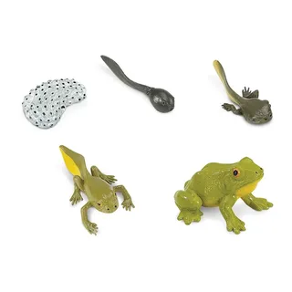 Levenscyclus Van Een Kikker Figuur van Safari Ltd – productfoto 2 van 2