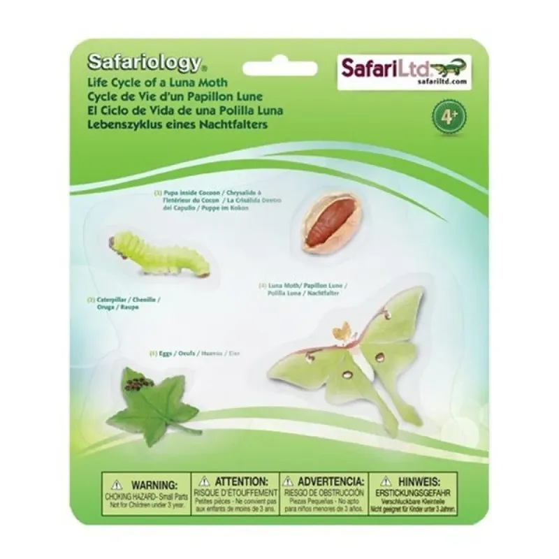 Levenscyclus Van Een Maanvlinder by Safari Ltd – product photo