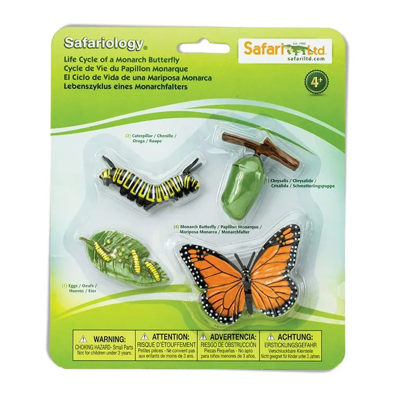Levenscyclus Van Een Monarchvlinder van Safari Ltd – productfoto