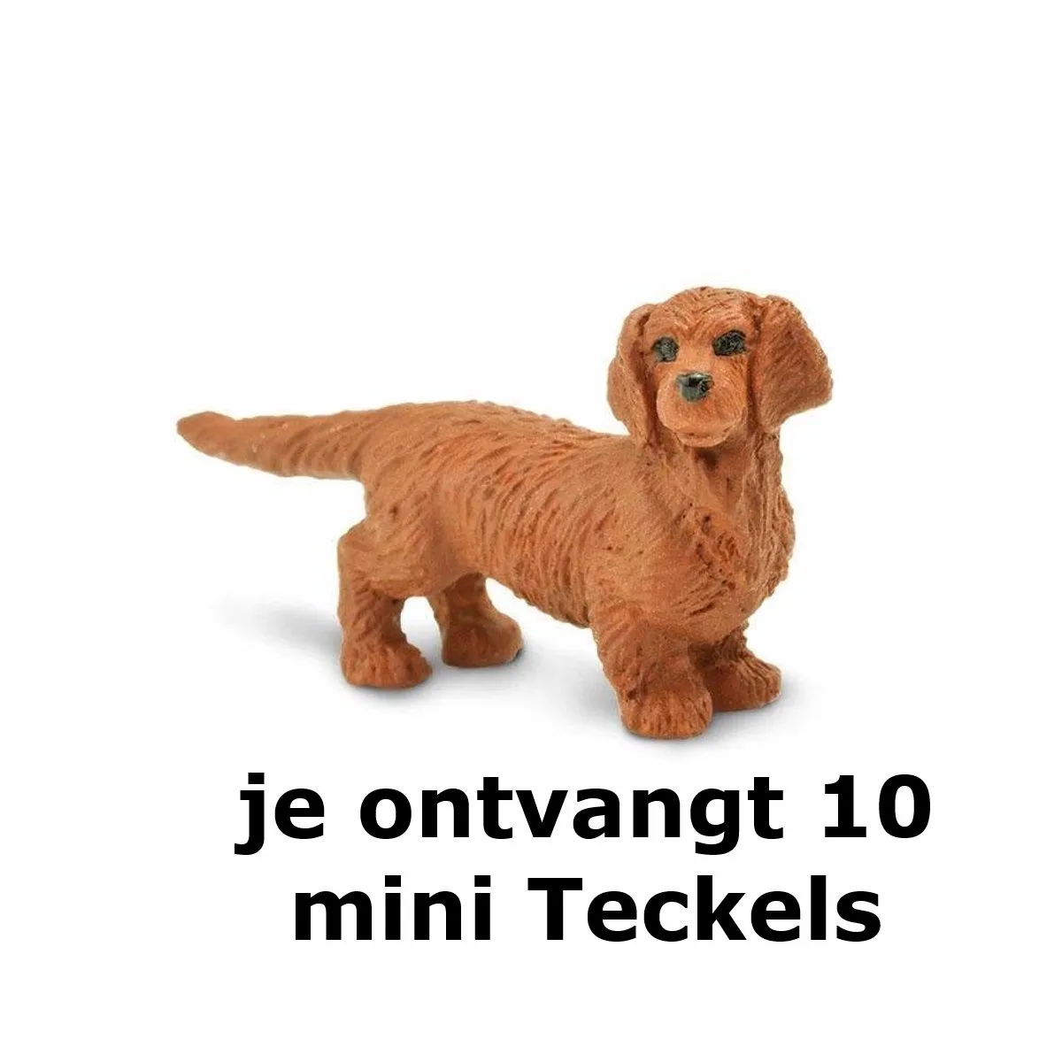 Lucky Mini's/ geluksmini's Teckel hondjes 10 stuks (ca 1-2 cm) von Safari Ltd in Braun – Produktfoto