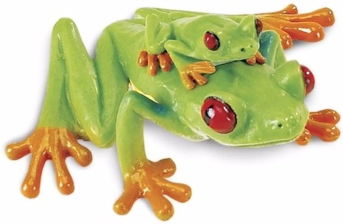 Roodoog boomkikker - plastic speelgoed - dieren figuur - 7 cm van Safari Ltd in Meerkleurig – productfoto