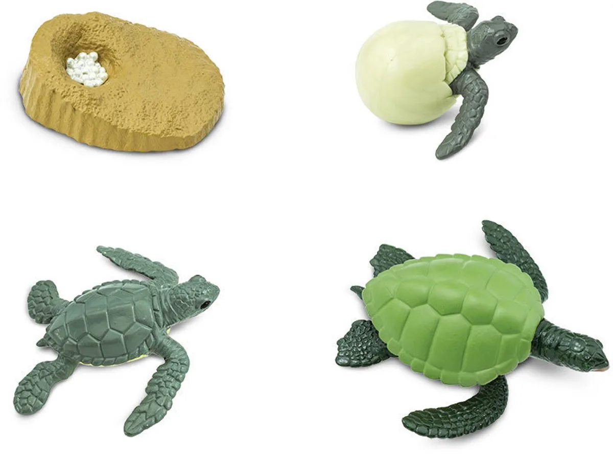 Speelset – De levenscyclus van een schildpad | 4 speelfiguurtjes - Educatief speelgoed van Safari Ltd in Bruin – productfoto