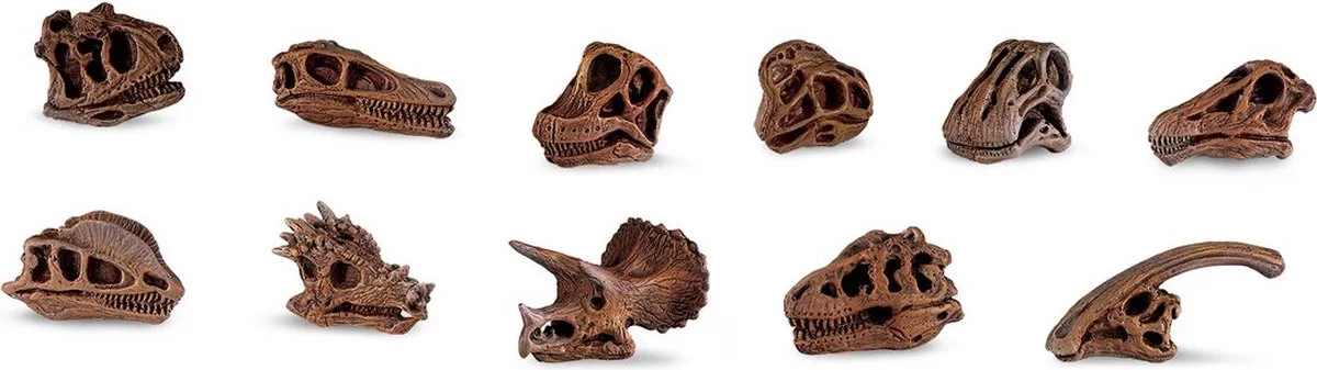 Speelset Dinoschedels Junior 4-7,5 Cm 48 Stuks by Safari Ltd in Multicolour – product photo