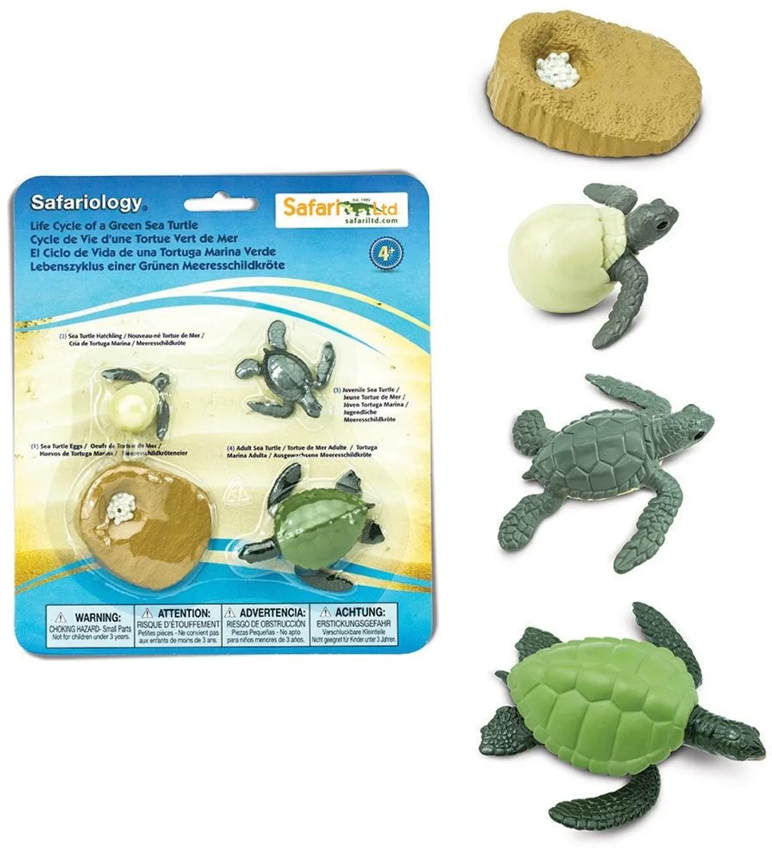 Speelset Levenscyclus Zeeschildpad Junior 4-delig by Safari Ltd in Green – product photo