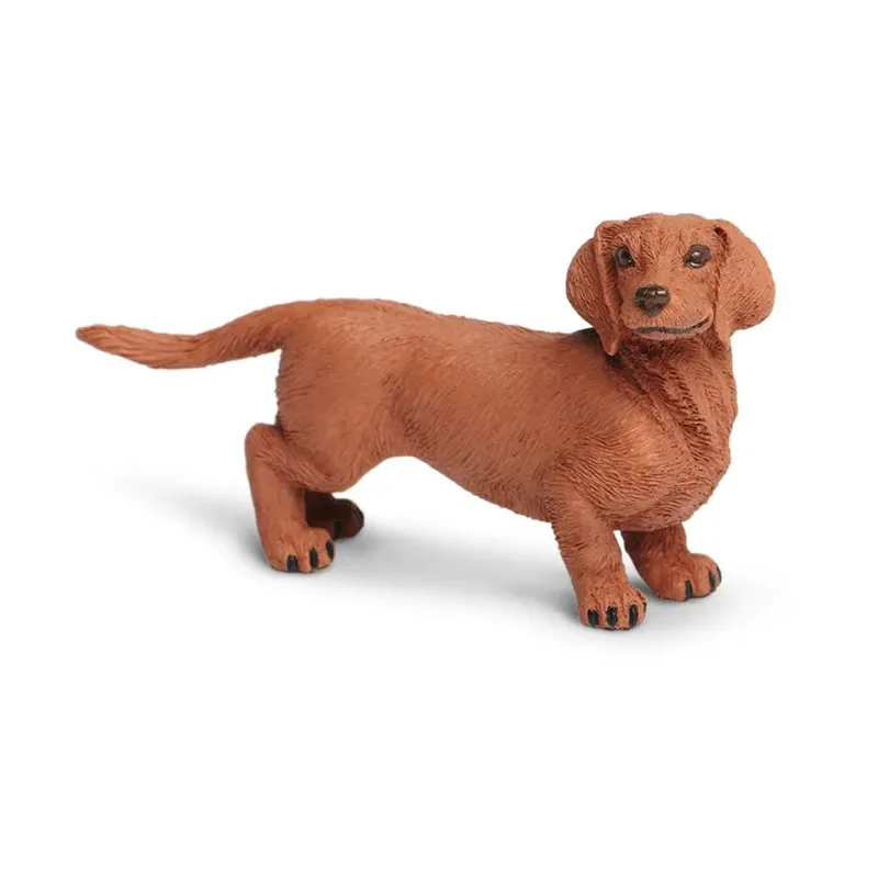Teckelbeeldje de Safari Ltd – photo du produit