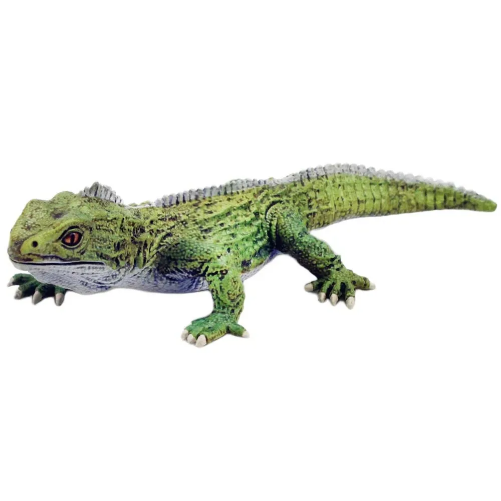 Tuatara Figur von Safari Ltd – Produktfoto