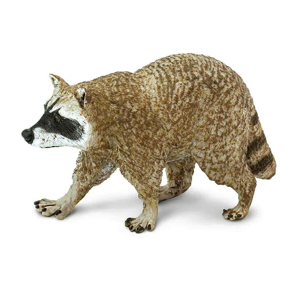 Figurine De Raton Laveur de Safari Ltd – photo du produit
