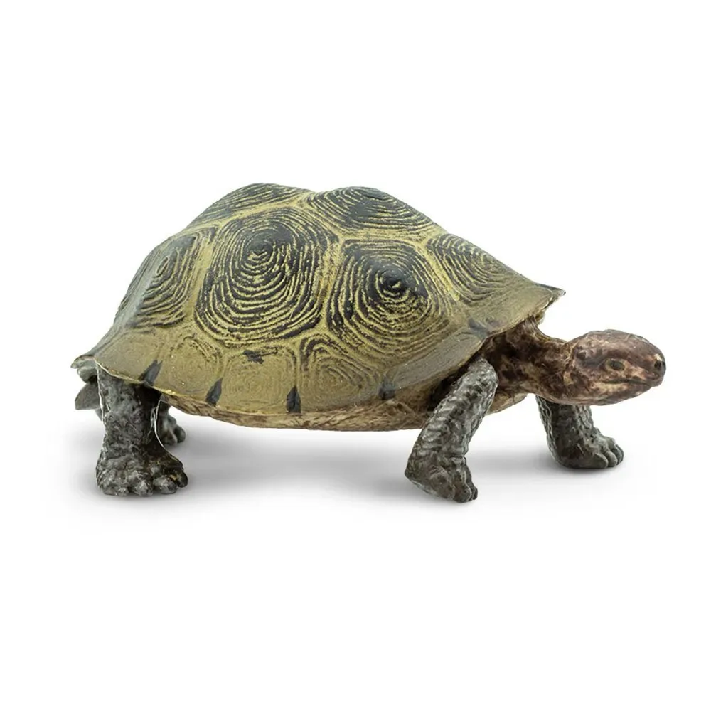 Ørken Skildpaddefigur fra Safari Ltd – produktbillede