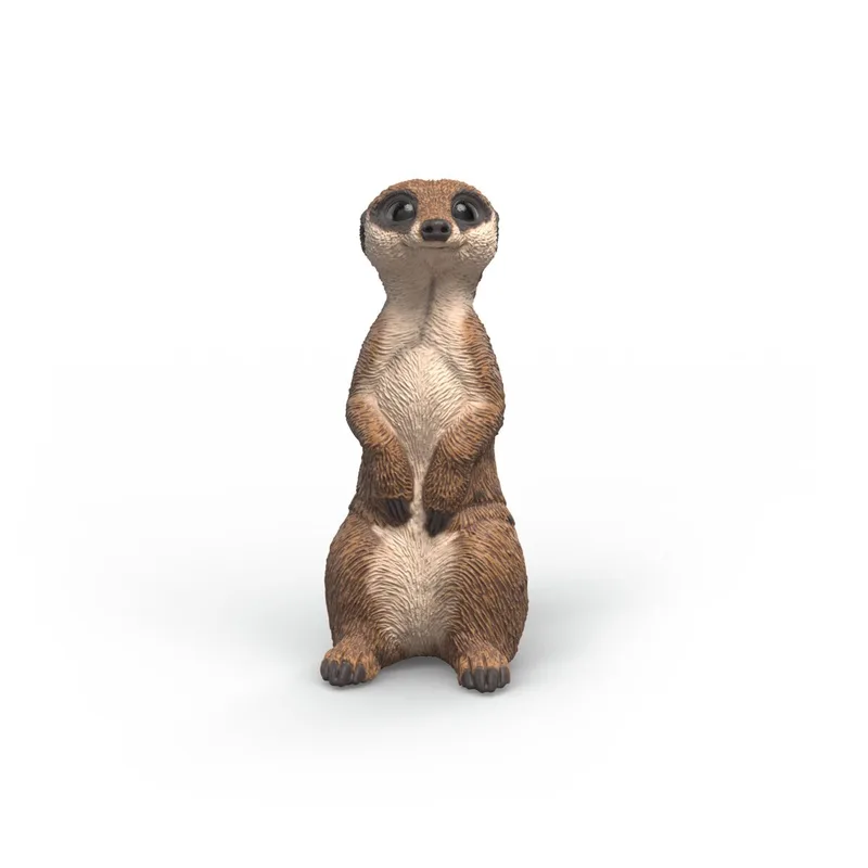 14935 Meerkat de Schleich – photo du produit 1 sur 2