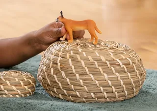 14867 Caracal Female by Schleich – interior photo 2 of 2