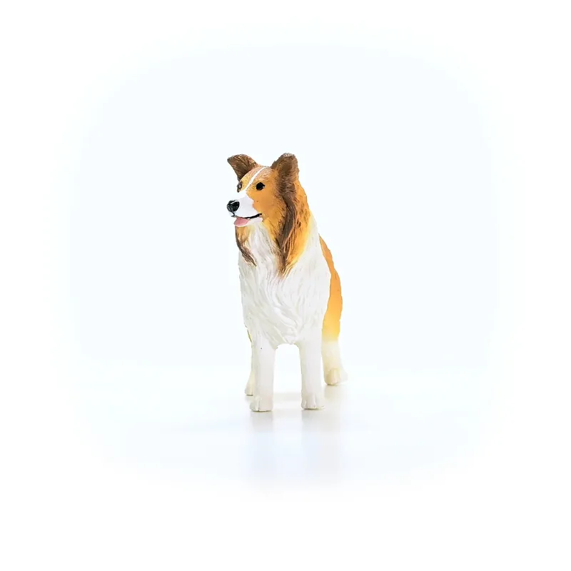 13998 Collie von Schleich – Produktfoto 4 von 5