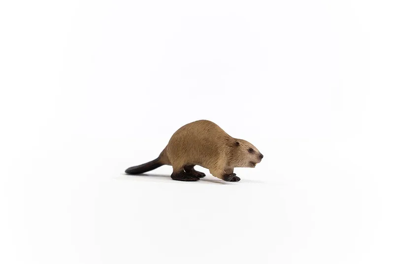 14855 Beaver de Schleich – photo du produit 4 sur 4